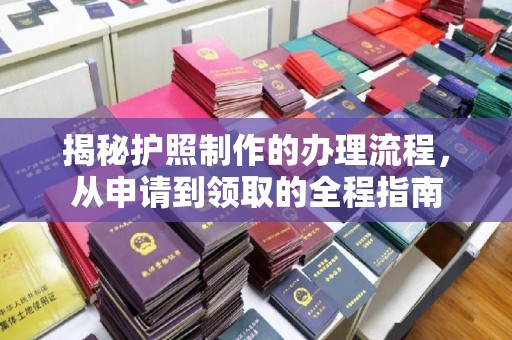 汉阳揭秘护照制作的办理流程，从申请到领取的全程指南